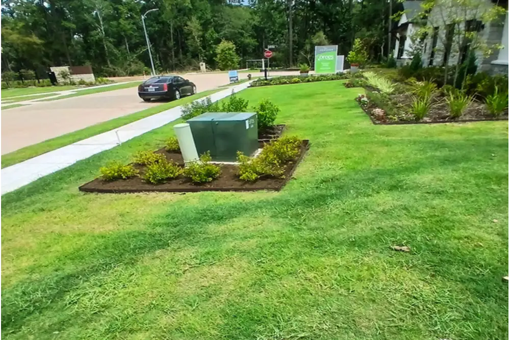 Professional landscape maintenance services in Houston