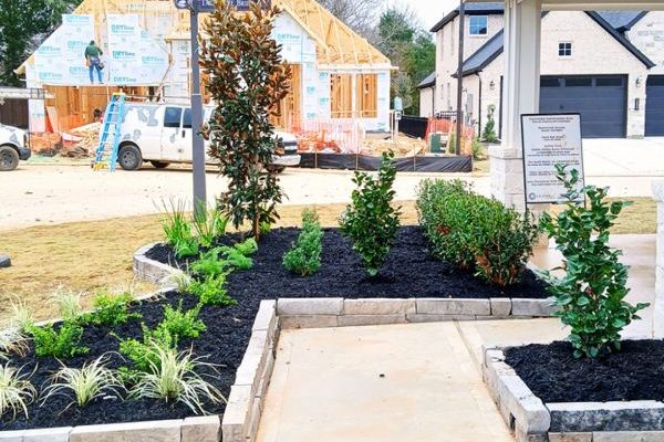 Plant Health Care Services